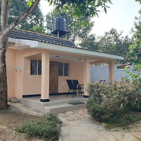 Alison & Dave'S Guesthouse 엔테베 외부 사진